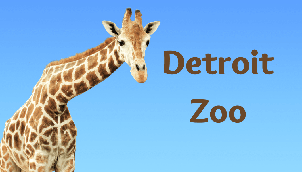 Detroit Zoo